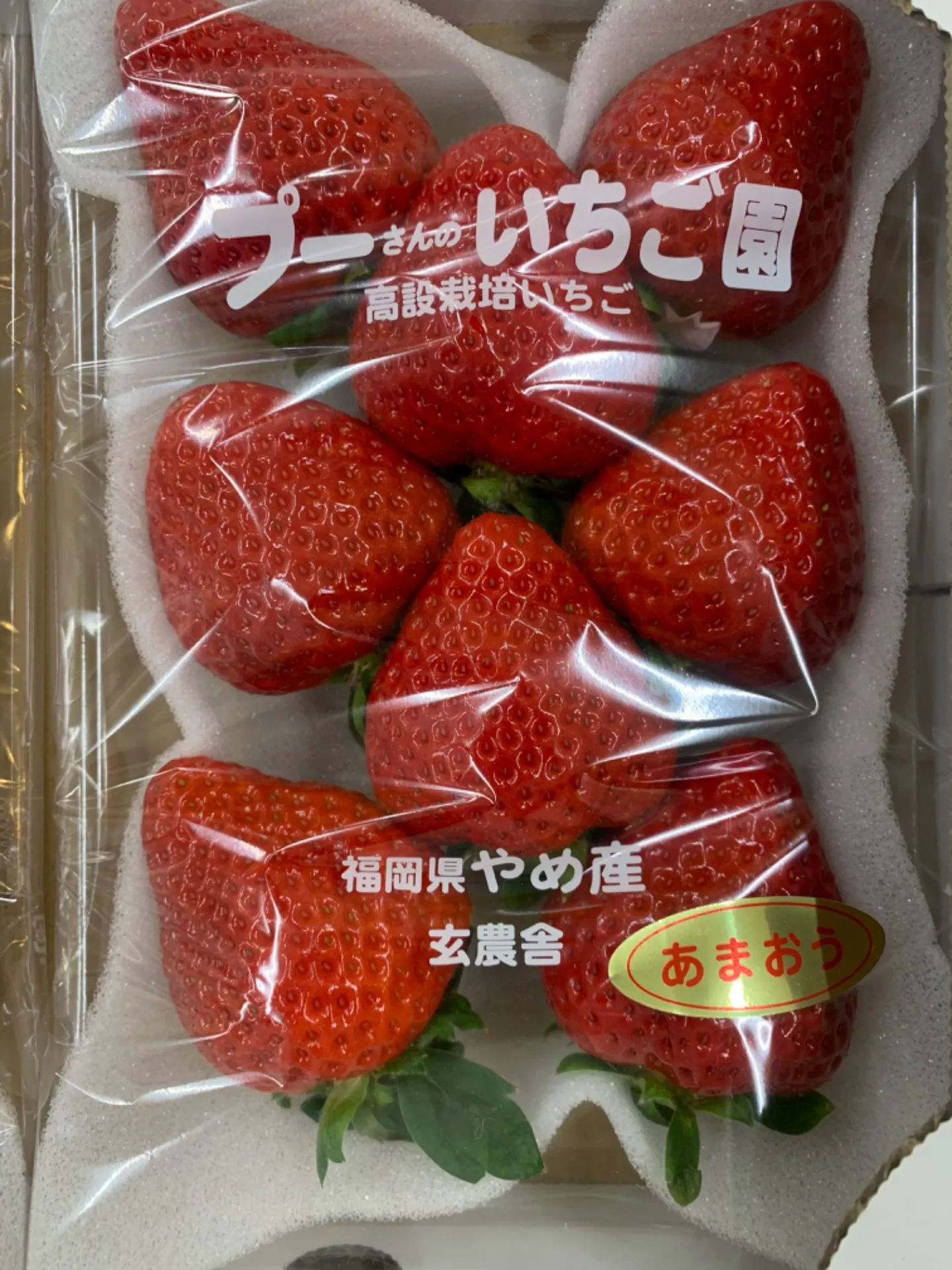 いちごの美味しい季節です!